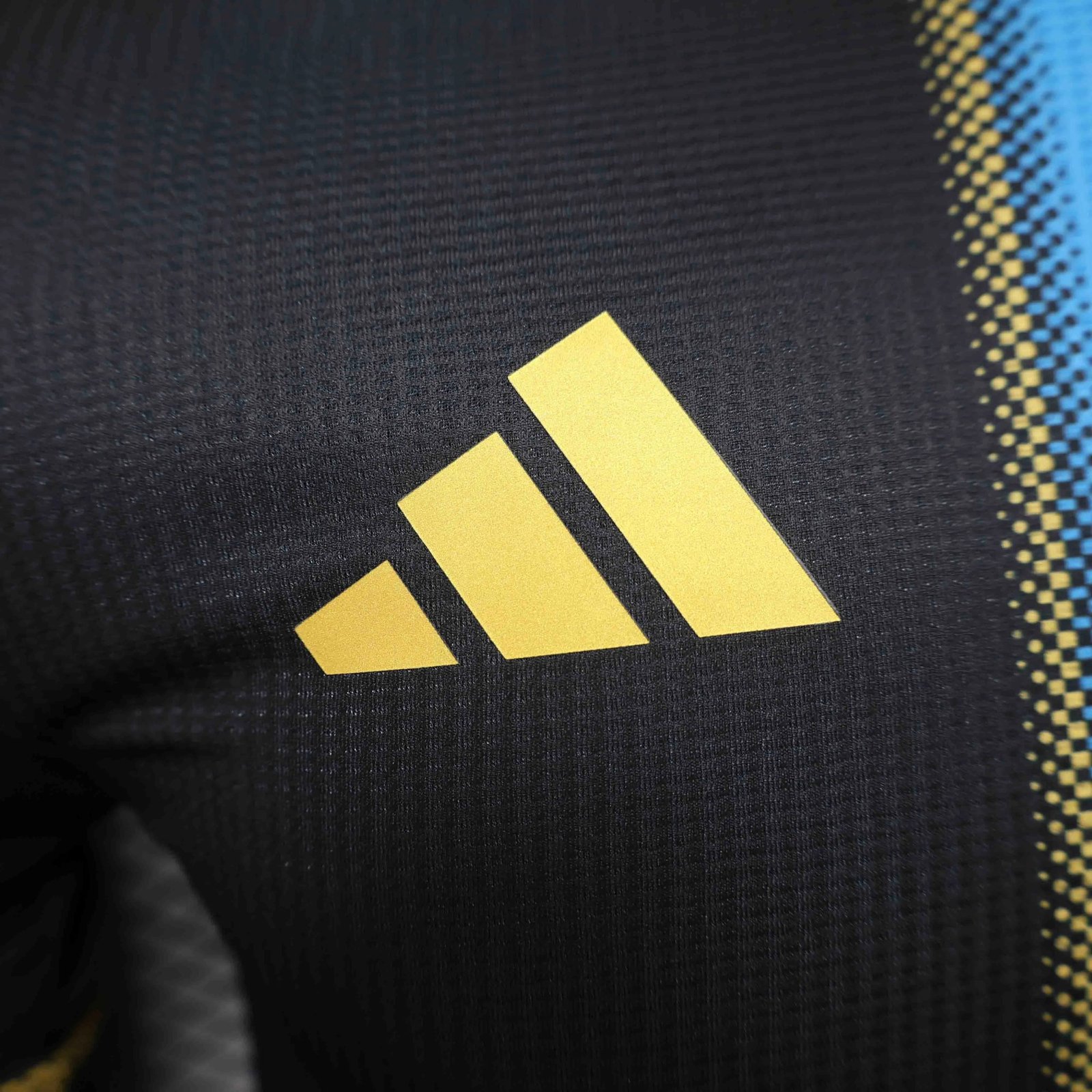 Argentina Authentic Soccer Jersey Special Edition 2024