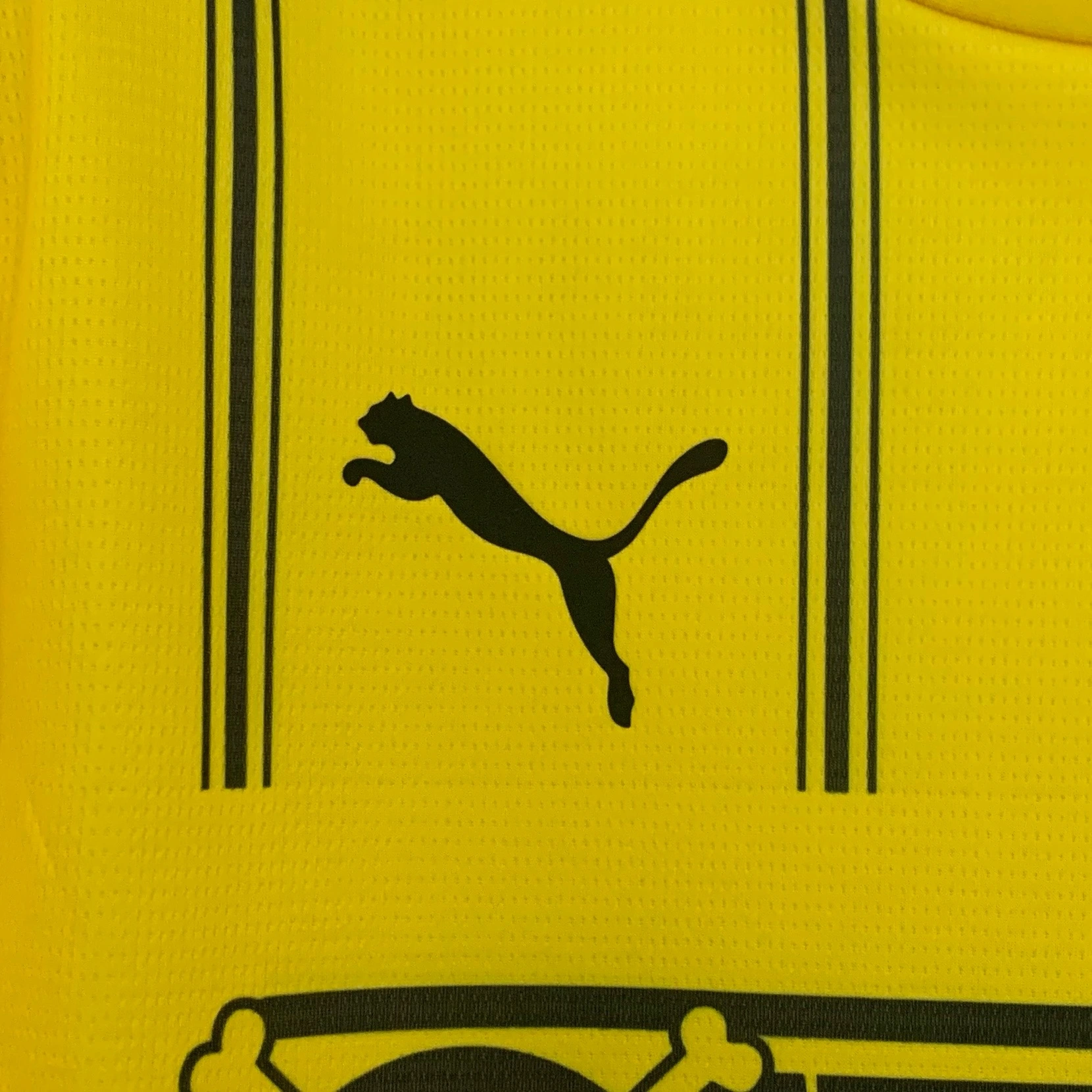 Borussia Dortmund x One Piece Special Edition Jersey Custom Shirt 2025/26