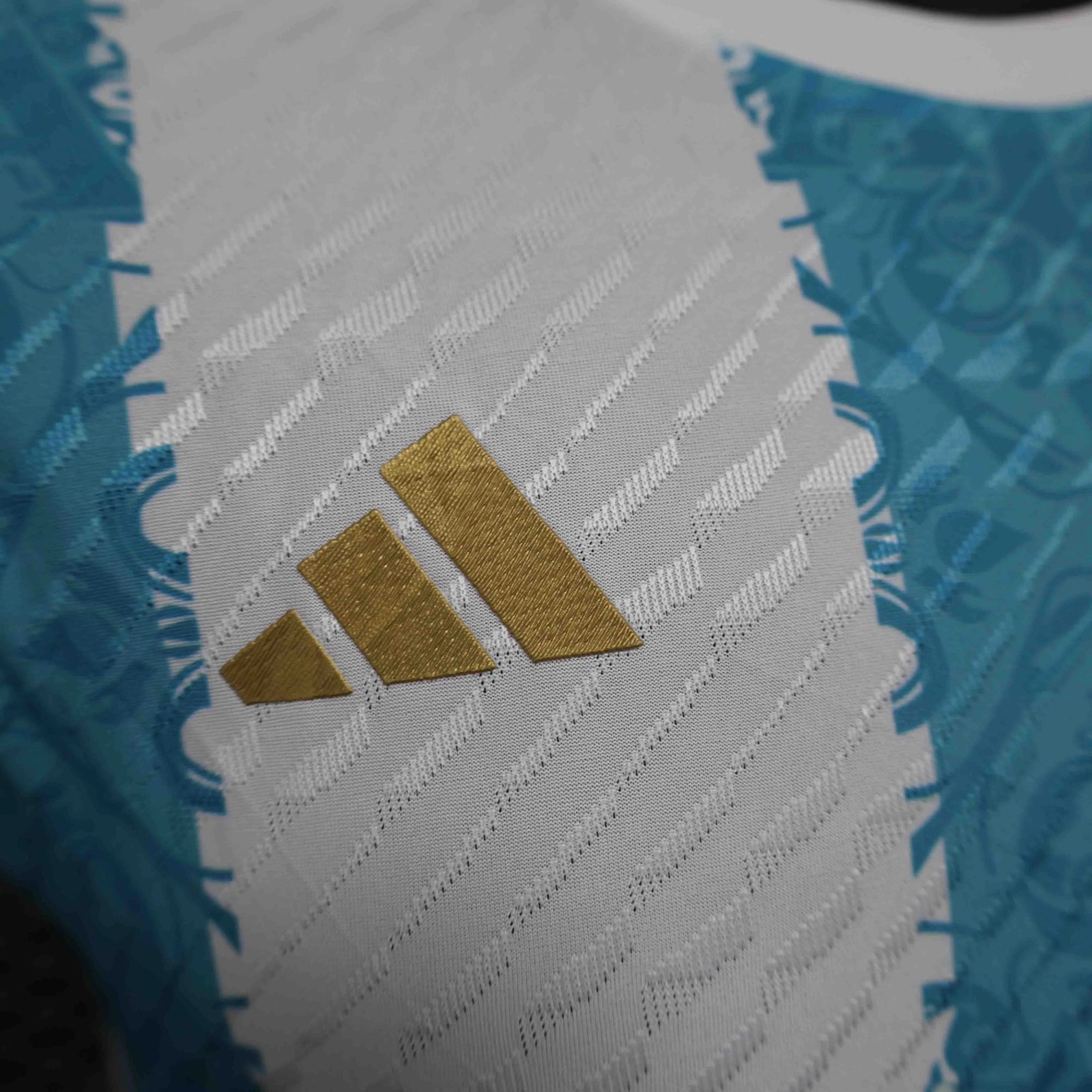 Argentina Authentic Soccer Jersey Special Edition 2024