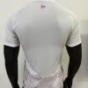 Lille OSC Authentic Soccer Jersey Away Shirt 2024/25