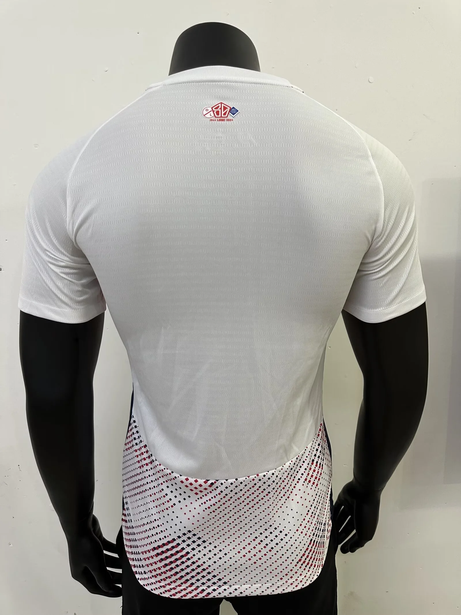 Lille OSC Authentic Soccer Jersey Away Shirt 2024/25