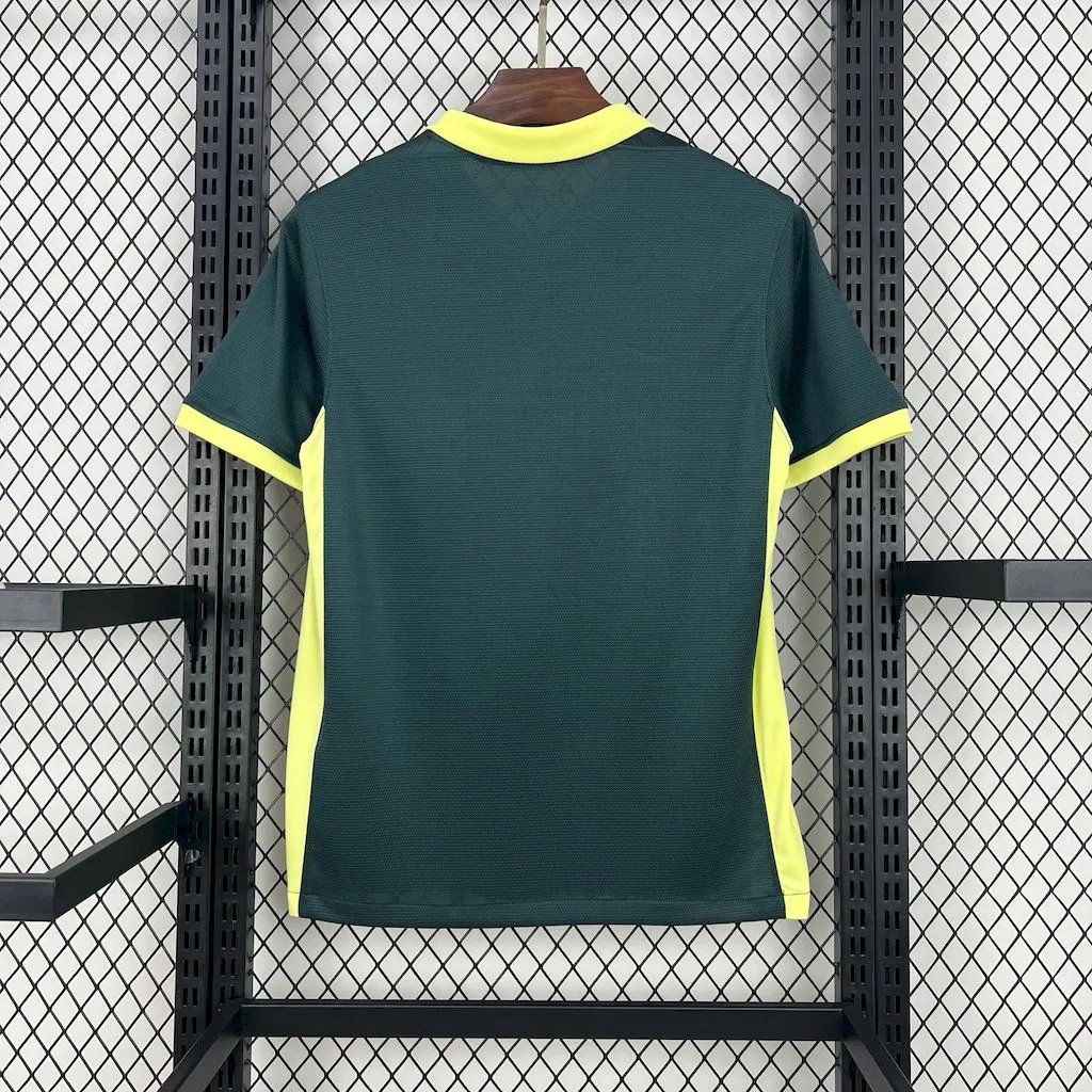 Barcelona Soccer Jersey Training Custom Shirt 2024/25