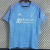 Nottingham Forest Football Jersey Third Away Custom Shirt 2024/25