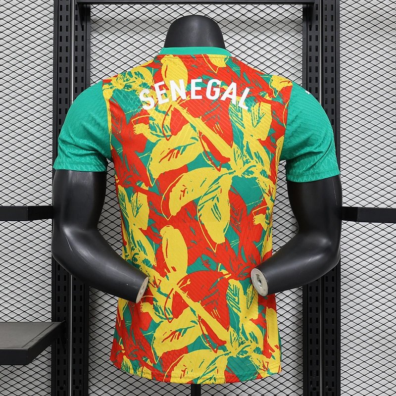Ivory Coast Authentic Soccer Jersey Pre-Match Shirt 2024