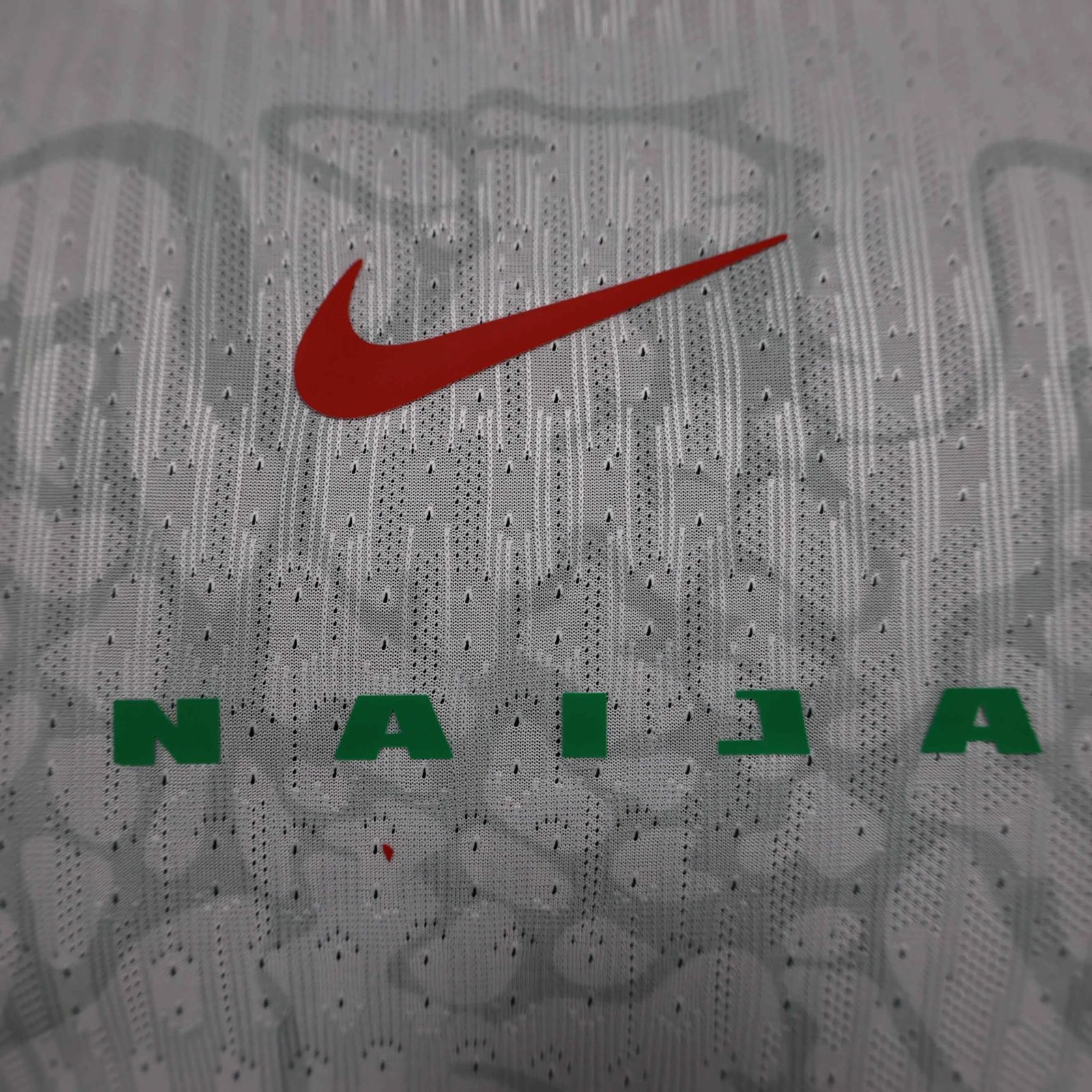 Nigeria Authentic Soccer Jersey Home Shirt 2024