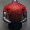 AC Milan Authentic Soccer Jersey Special Edition Shirt 2024/25