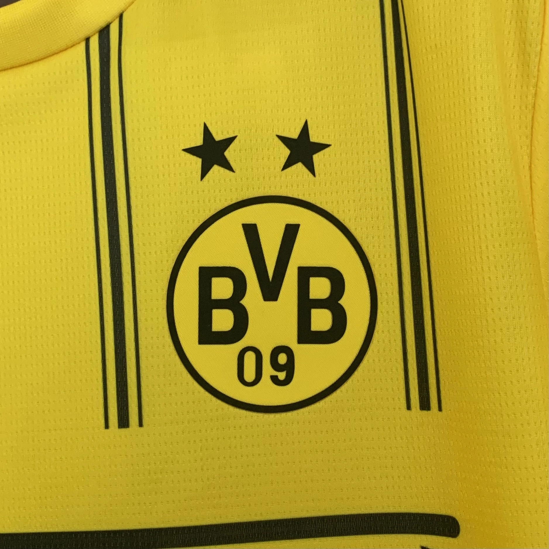 Borussia Dortmund x One Piece Special Edition Jersey Custom Shirt 2025/26