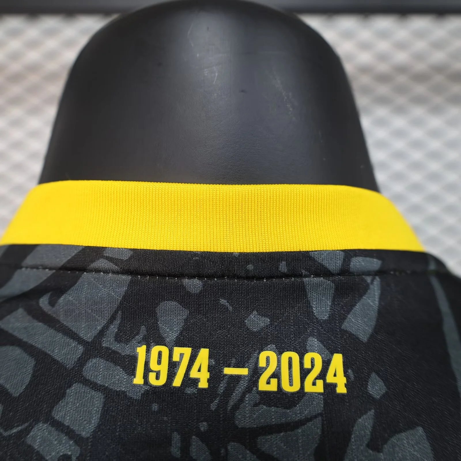 Borussia Dortmund Special Jersey Player Version 2024/25