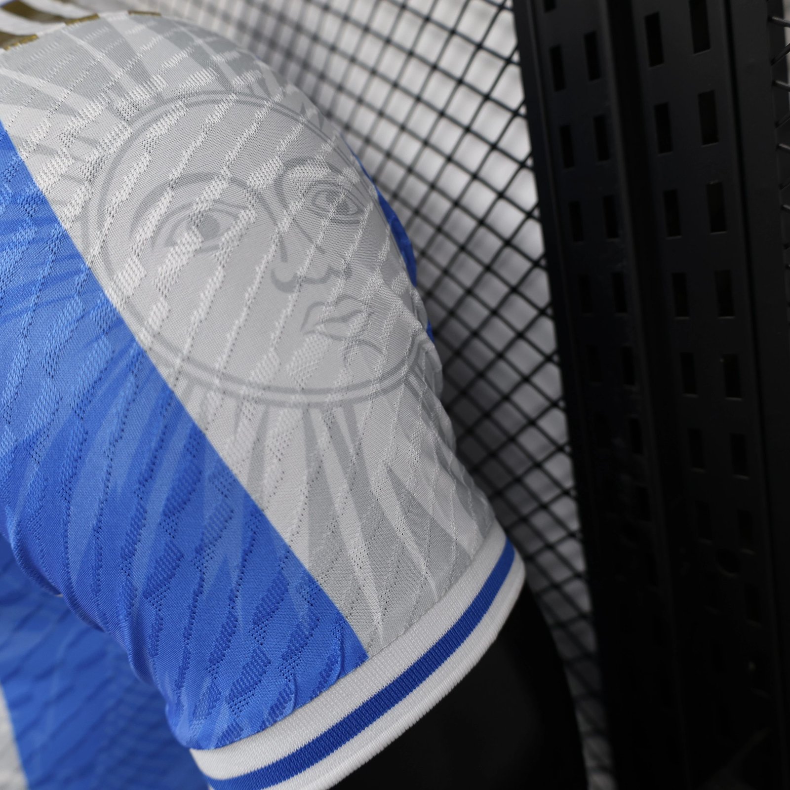 Argentina Authentic Soccer Jersey Special Edition 2024