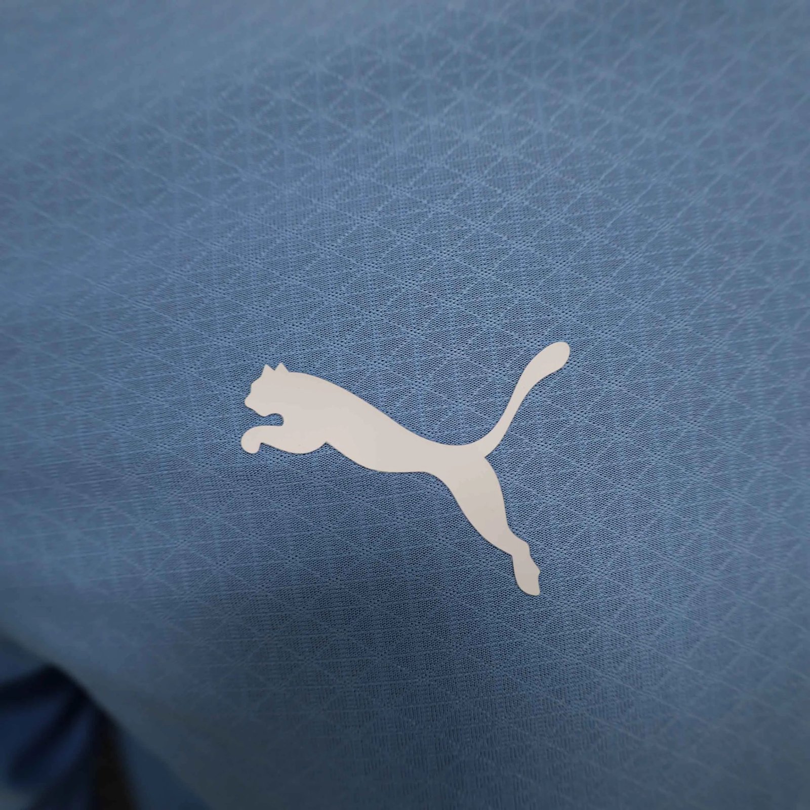 Manchester City Authentic Home Long Sleeve Football Jersey Shirt 2024/25