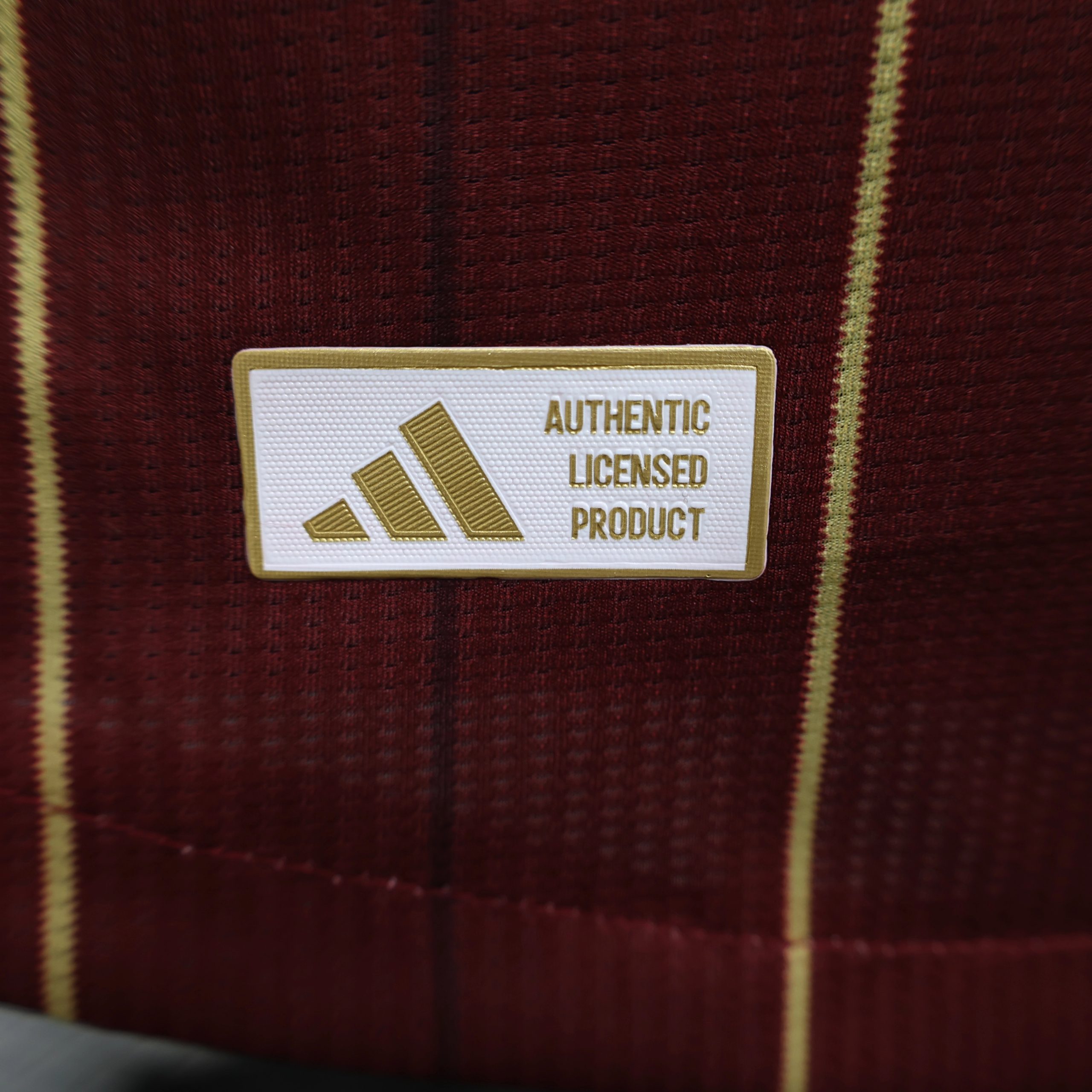Roma Authentic Soccer Jersey Home Shirt 2024/25