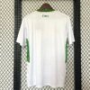 Ireland Soccer Jersey Away Custom Shirt EURO 2024