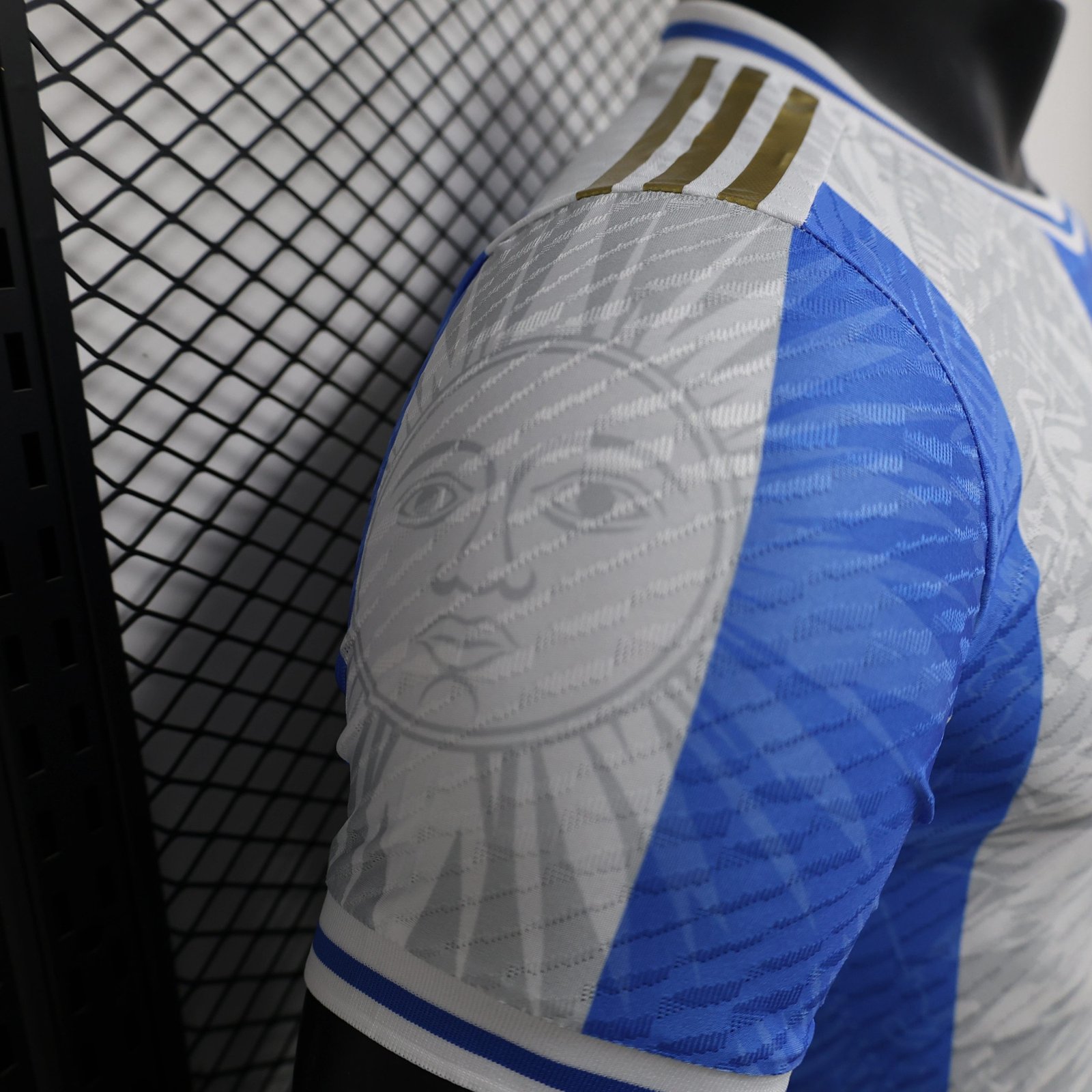 Argentina Authentic Soccer Jersey Special Edition 2024