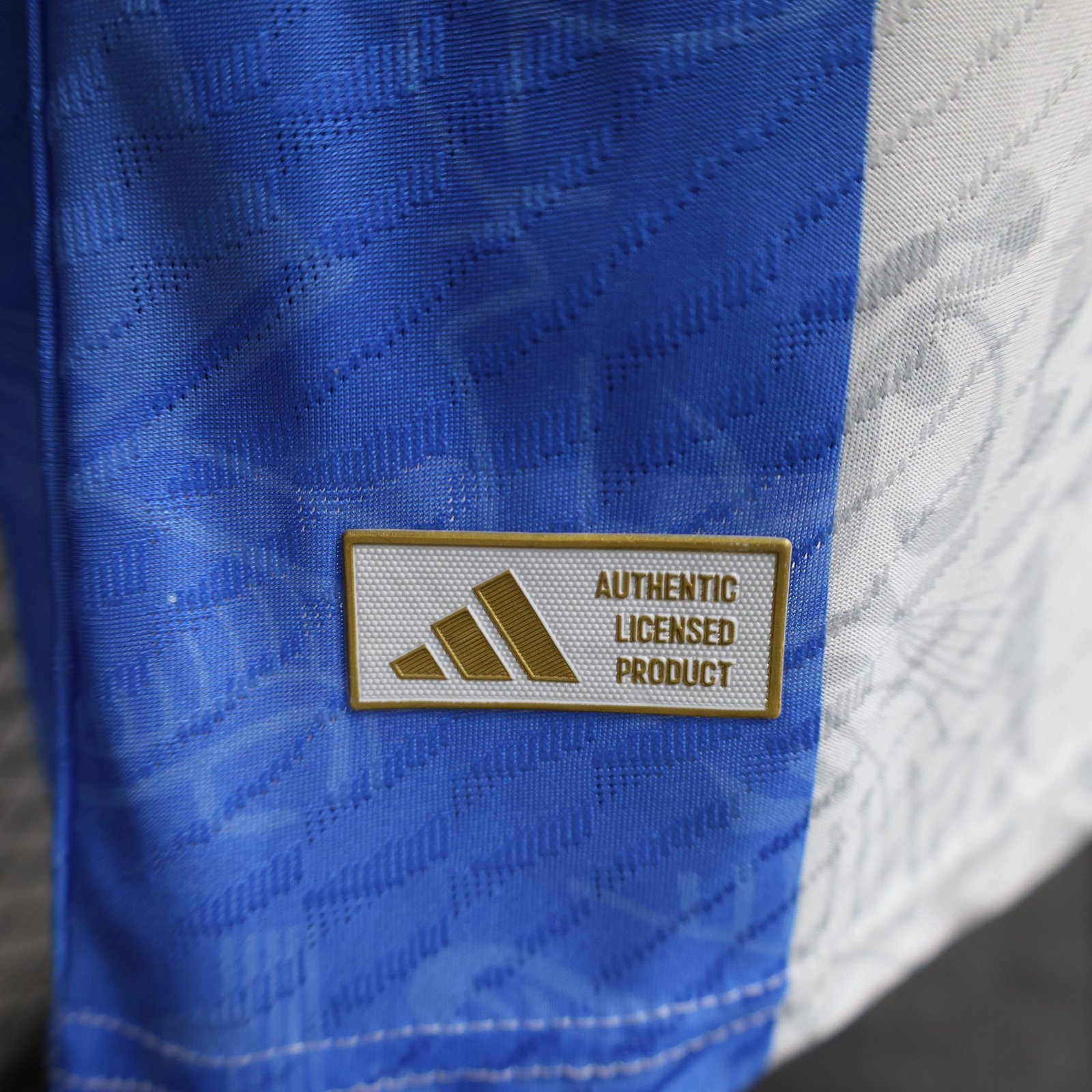 Argentina Authentic Soccer Jersey Special Edition 2024