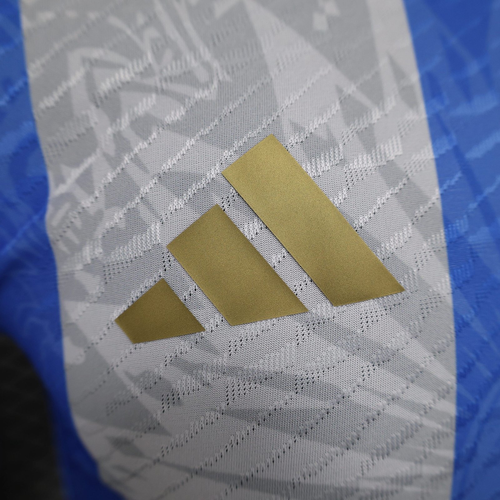 Argentina Authentic Soccer Jersey Special Edition 2024