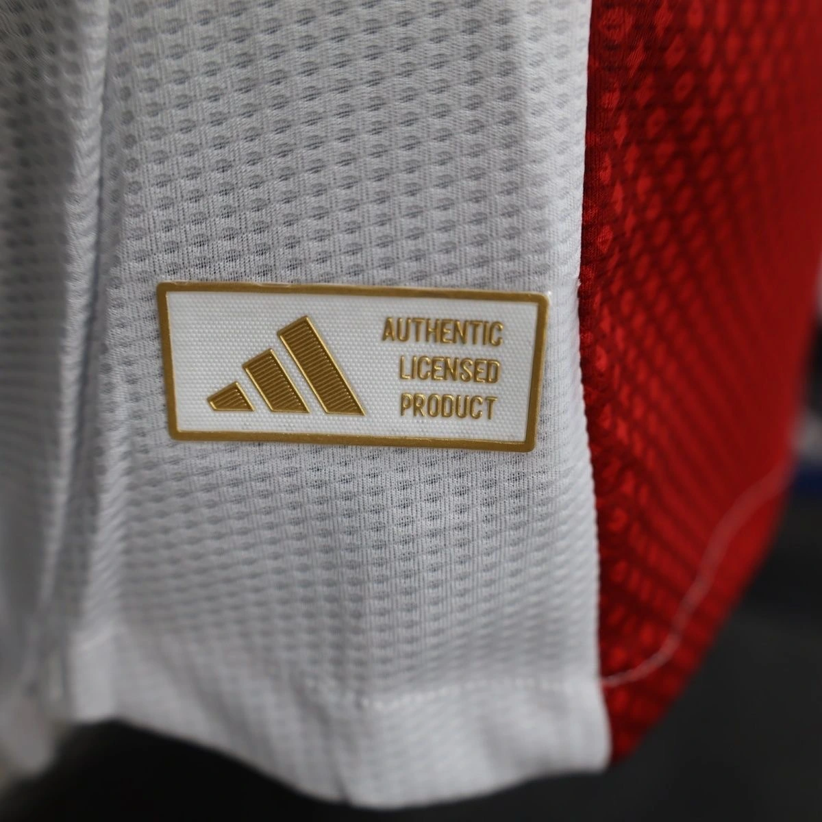 Ajax Authentic Football Jersey Home Shirt 2025/26