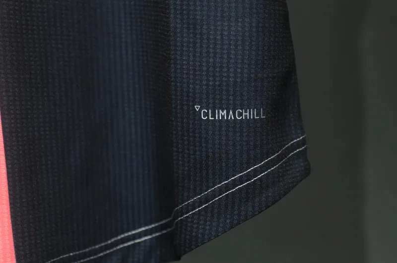 Juventus Authentic Soccer Jersey Home Shirt 2019-20