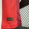 Norway Authentic Soccer Jersey Home Shirt 2024