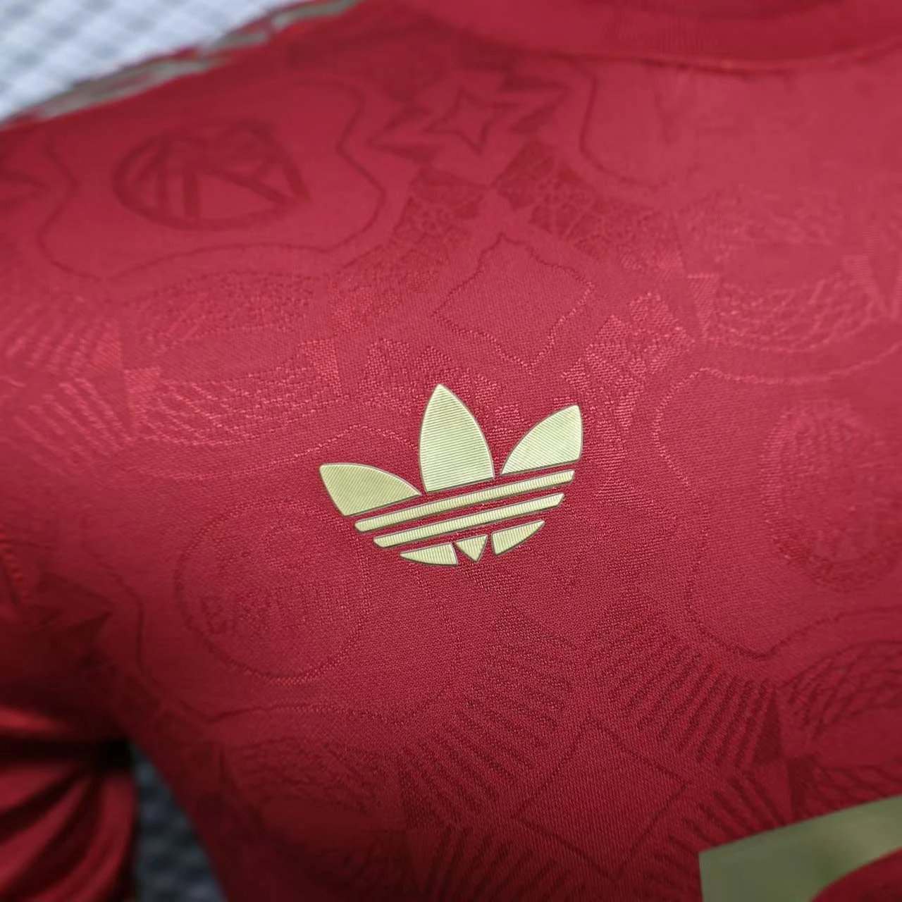 Authentic Bayern Munich Soccer Jersey Shirt 2025/26 125th Anniversary